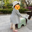 슈슈앤크라롯데동 이미지