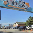 41271-9-1-58 | 대천항 수산시장 맛집 녹도수산 57호 58호 회포장 광어회 오징어회 방문포장후기