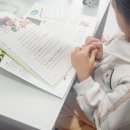 그레이트북스 술술이책방후기 초등저학년책추천