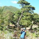 가람자원 이미지