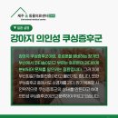 제주24시숨동물의료센터 이미지