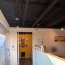 재성빌딩 | 건대입구 | 반려견이 없어도 갈 수 있는 애견카페 '도리앤도리스'