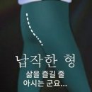 엉덩이 형태에 따른 성격 분석 이미지