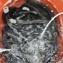 보양건강원 이미지