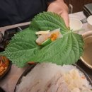 오징어 데이 네이버블로그