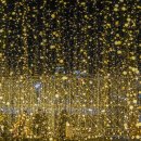부산시민공원 거울연못 빛축제 이미지