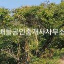 옥룡면사무소 이미지