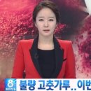 신대감식품