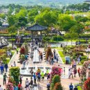 곡성-125 이미지