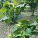 생극농장 이미지