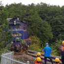 완도18호 이미지