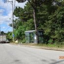 복하천 2 이미지