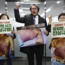 고*윤