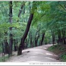 김포 장릉 이미지