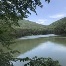 산청칼국수 이미지