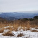 하늘정원 이미지