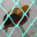 금순이농장 이미지