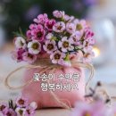 오후 3시에 보내는 응원과 💕를 신미래 가수님에게 띄워 주세요. 이미지