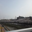 책계천 네이버블로그