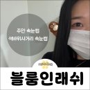 블룸인래쉬