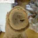 한상태농장 이미지