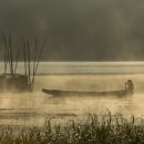 연화일휘 이미지