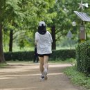 숲속 꽃길 힐링산책ㅡ나무수국길 - by 모모수계 이미지