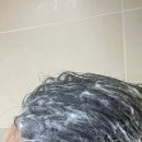 두피관리에는 탈모샴푸 르주르 꼴로레 인큐베이팅 샴푸
