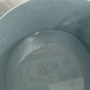 파주고양이 미용실 이미지