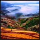 이강디자인