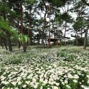 세이브존앞 이미지