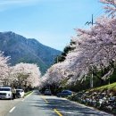 운문가는길 이미지