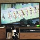 허내과 | 뜰새 없이 바쁜 직장인, 재수생들 주목! 대구 달서구 월도시락 배달 &#39;도담토리&#39; 가격, 위치, 리뷰(후기)