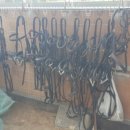 굴레목장 이미지