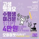 오이이핏 이미지