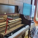 대성상회 이미지