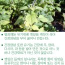 청일유기식품
