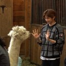 다니엘서비스 이미지