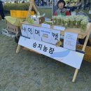 칠곡낙동강평화축제 첫날 방문 했던 후기