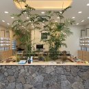 눈을 맞추다 이미지