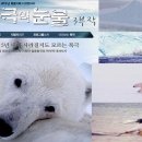용신6 이미지