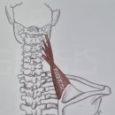 피트니스솔루션 이미지