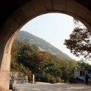 흰(huin)