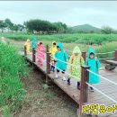 자연유아 어린이집 이미지