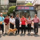 강아지정류장 이미지