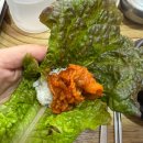 태양이네 | 광주 서구 쌍촌동 쌈밥 맛집 <태양이네집>: 조미료 없이 깔끔한 제육 쌈밥👍🏻