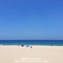 바다소풍 이미지