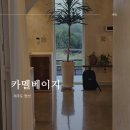 카멜스테이 이미지