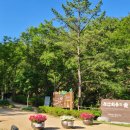 부산치유의숲 방문자센터 이미지