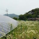 수현 태양광발전소 이미지